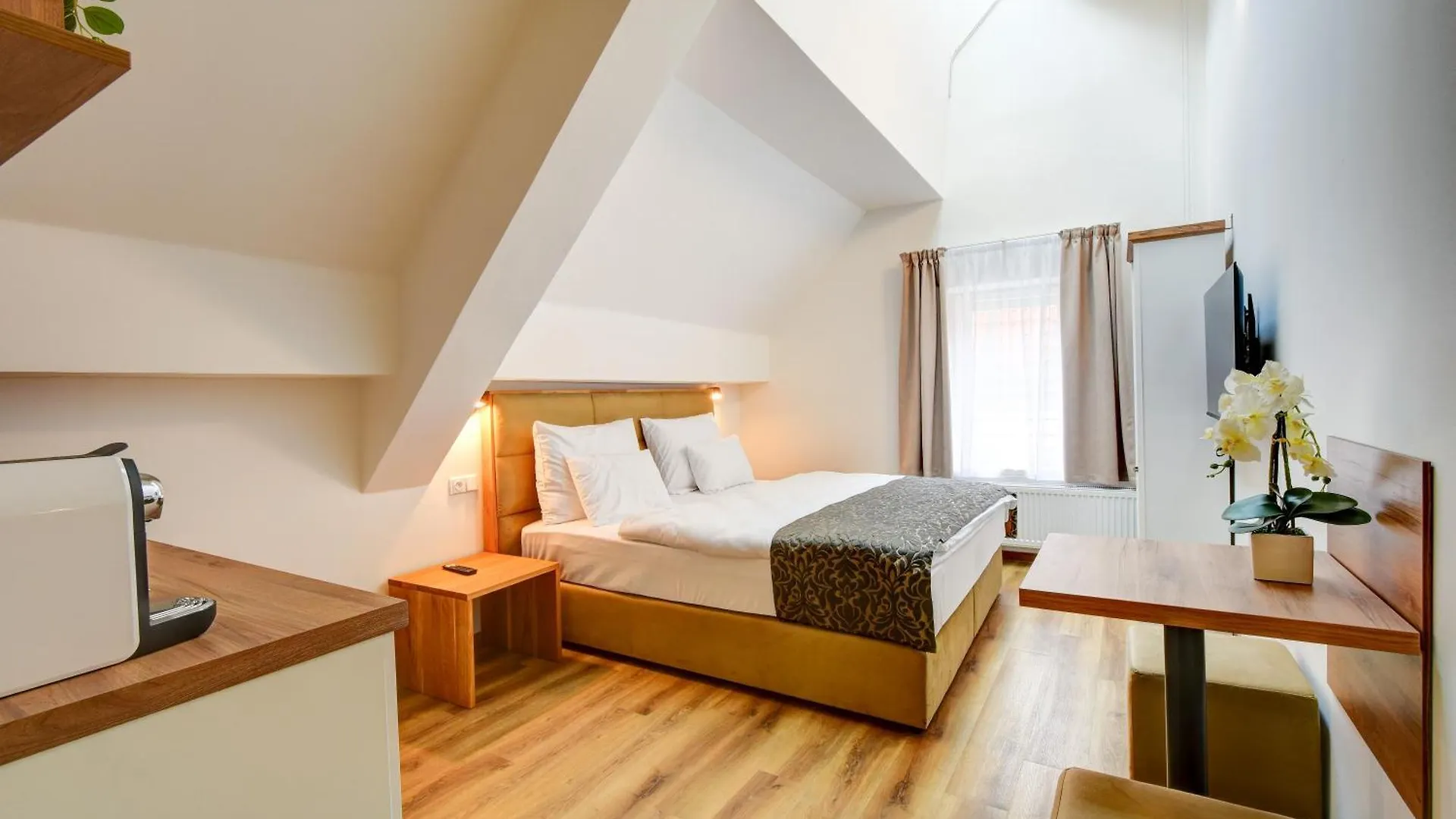 Hotel Karlova Prague